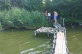 В Харьковской области в пруду обнаружили тело полуторагодовалой девочки