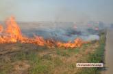 Под Николаевом весь день пылают масштабные пожары: огнем охвачены сотни гектаров