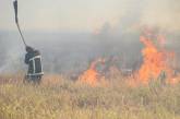 В Николаевской области за сутки зарегистрировано 38 пожаров площадью более 80 Га