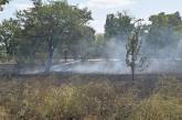 В Николаеве из-за масштабного пожара едва не загорелась автозаправка