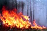 В Николаевской области объявлена чрезвычайная пожарная опасность