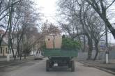 Элементы главной городской елки после демонтажа разбросали по улице Спасской