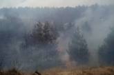 В Николаевской области горит 10 гектаров леса