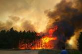 Причиной пожара на территории Новопетровского лесничества на Николаевщине мог стать поджог. ВИДЕО