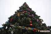 Новогодняя елка на главной площади Николаева обойдется в 3 млн гривен 