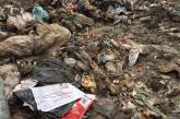 Львовский мусор нашли в Житомирской и Тернопольской областях