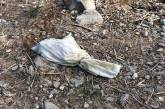 В Херсонской области на берегу реки обнаружили три мешка с человеческими останками