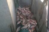 На Николаевщине задержали браконьеров, наловивших рыбы на 32 тысячи гривен