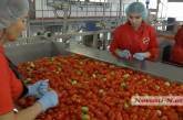 Компания «Агрофьюжн» в нынешнем сезоне переработает более полумиллиона тонн томатов