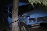 В Первомайске «четверка» въехала в дерево — пострадал 3-летний ребенок