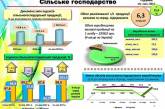 Николаевщина заняла четвертое место по объемам сельхозпроизводства в Украине