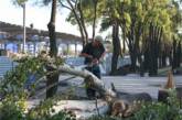 Жители «Соляных» возмущены вырубкой деревьев под строительство магазина «Метро»!