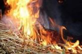 В Николаевской области спасатели ликвидировали пожар на территории частного домовладения