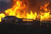Пожар на Одесчине: сгорело множество животных, и чудом не взорвался газ (фото)