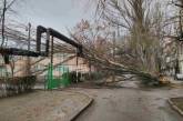 В Николаеве на детский сад упал огромный старый тополь