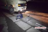 За неделю в Николаеве под колеса авто попали 8 человек - трое из них мертвы 