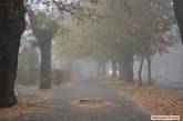 Туман, сырость и дождь: погода в Николаеве на завтра
