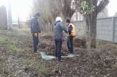В Николаеве организовали работы по уборке бесхозной зеленой зоны