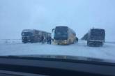 В Николаевской ОГА рекомендуют ограничить автобусные рейсы в области, где выпал снег