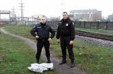 В Николаеве полицейские охраны поймали мужчину, воровавшего уголь из поезда
