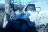 На Николаевщине «Форд» съехал в кювет и врезался в дерево: пассажир погиб, водитель в больнице