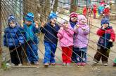 В очереди в детсады в Украине стоят 47 тысяч детей