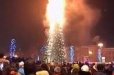В центре Южно-Сахалинска сгорела главная городская елка