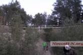 Чудо в Матвеевском лесу: николаевцы украсили гирляндами живые сосны