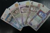 Налоговая милиция Николаевской области, перевыполнив план, пополнила Государственный бюджет почти на 5,5 млн. грн.