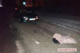 Под Николаевом автомобиль сбил пьяную 13-летнюю школьницу - девочка в реанимации