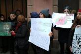 В Одессе напали на участников митинга в защиту животных
