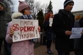 В Киеве протестовали против "Нацдружин"