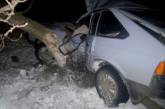 На Николаевщине "Москвич" слетел в кювет: водителя извлекали из машины спасатели