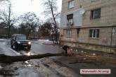 В Николаеве упавшее дерево перекрыло проезд