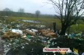 На Николаевщине на стихийной свалке нашли 20 туш свиней 