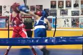 В Николаеве прошел Открытый чемпионат города по боксу среди юношей 2002-2003 г. р.