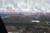 В заповедной зоне Одесской области пожар уничтожил 1000 га земли