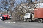 В Николаеве дерево расплющило грузовик. ФОТО