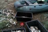На Николаевщине браконьеры незаконно выловили 68 кг тарани
