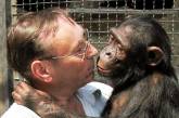 Директору Николаевского зоопарка предлагали продать шимпанзе за баснословные деньги