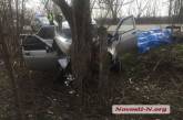 Под Новой Одессой «десятка» врезалась в дерево — водитель погиб, двое в больнице