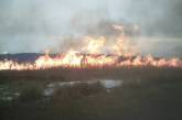 На Николаевщине спасатели трижды тушили пожары камышей и сухой травы