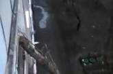 В Николаеве упавшее дерево разбило окна многоэтажки