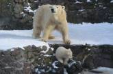 В Николаевском зоопарке радуется снегу белый медвежонок. ФОТО
