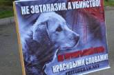 Николаевцы выйдут на митинг в защиту бездомных животных