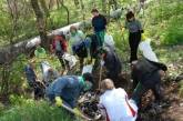 Николаевцев приглашают на общегородские субботники, чтобы сделать город уютнее и красивее