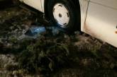 Дороги на Николаевщине: пассажирский автобус застрял в яме