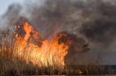 В Николаевской области горит мусор и камыш: за два месяца произошло уже 34 пожара