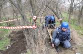 Николаевские спасатели подорвали мину и 7 реактивных снарядов, найденных в лесу