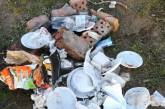 Кучи мусора в парке: как в Николаеве отметили Пасху
